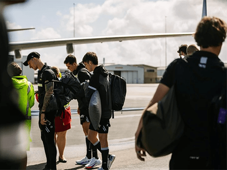 CAPE travel calf sleeve
